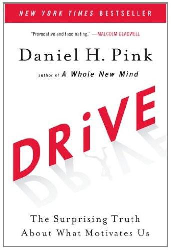 Drive: The Surprising Truth About What Motivates Us