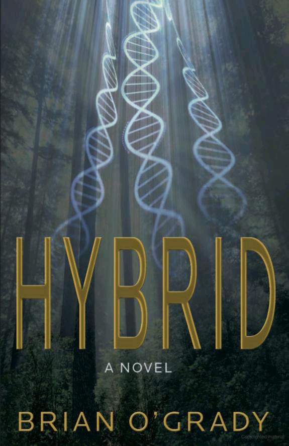 Hybrid