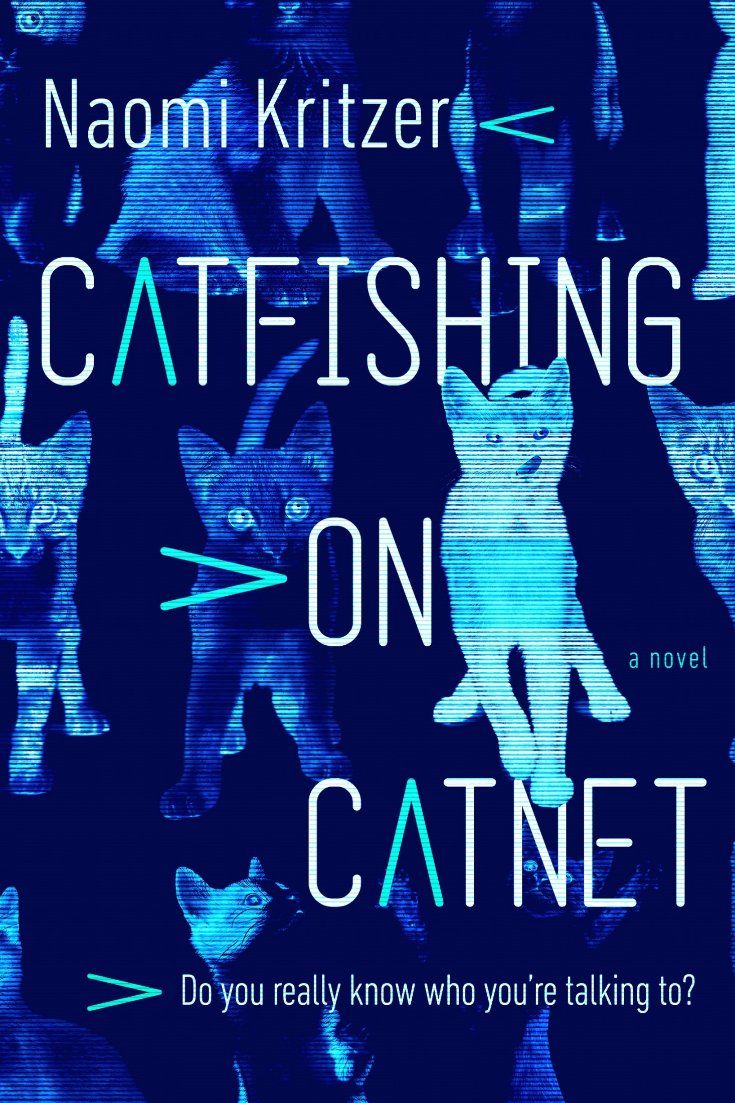 Catfishing on CatNet: A Novel