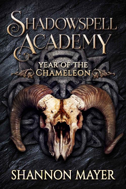 Year of the Chameleon 2