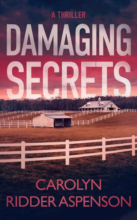 Damaging Secrets